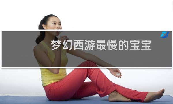 梦幻西游最慢的宝宝