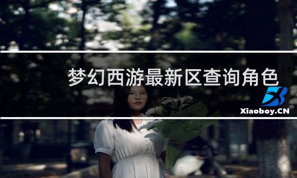 梦幻西游最新区查询角色