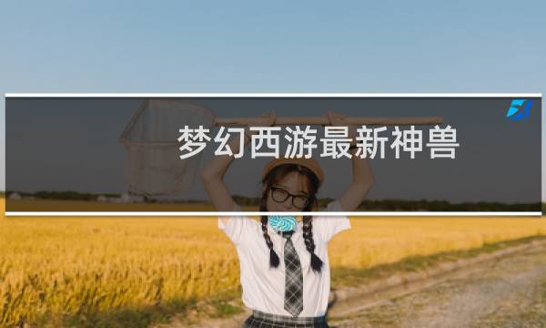 梦幻西游最新神兽