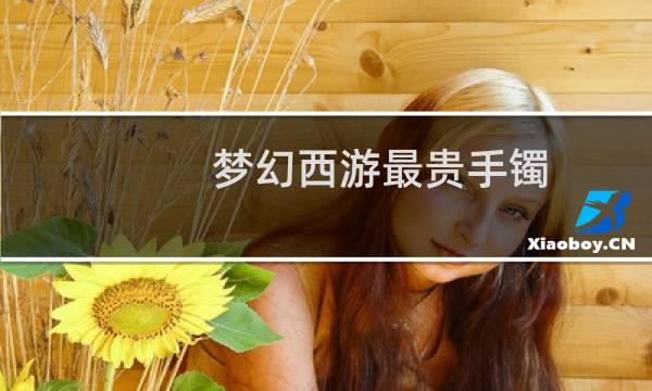 夢幻西游最貴手鐲