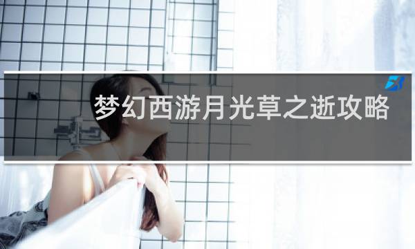 梦幻西游月光草之逝攻略