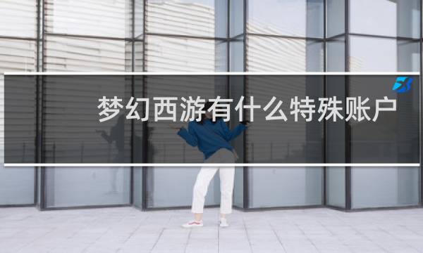 梦幻西游有什么特殊账户