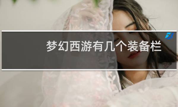 梦幻西游有几个装备栏
