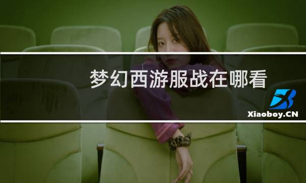 梦幻西游服战在哪看