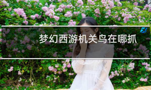 梦幻西游机关鸟在哪抓