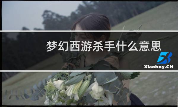 梦幻西游杀手什么意思