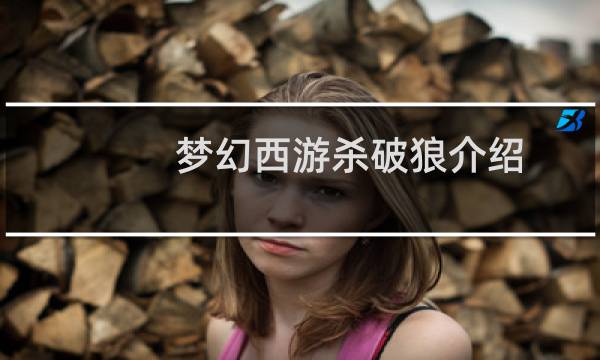 梦幻西游杀破狼介绍
