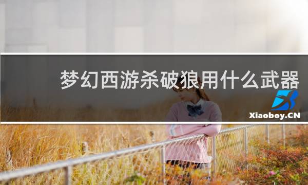 梦幻西游杀破狼用什么武器