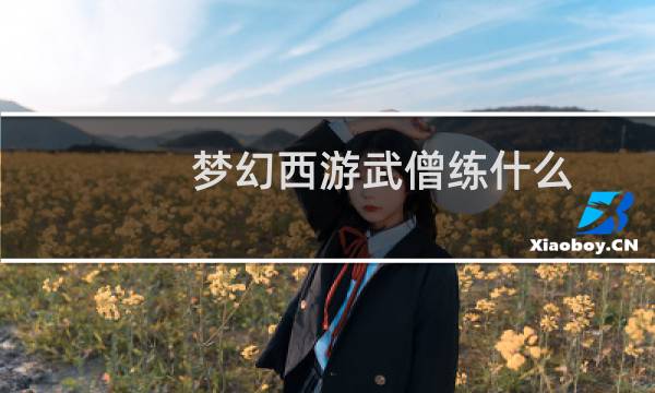 梦幻西游武僧练什么