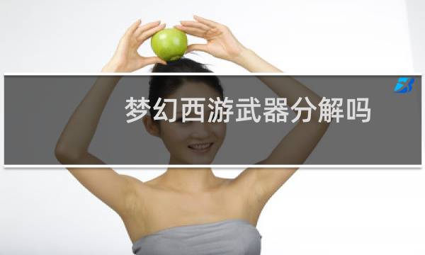 梦幻西游武器分解吗
