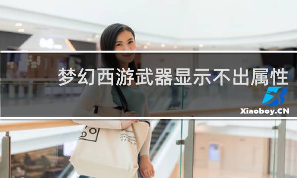 梦幻西游武器显示不出属性