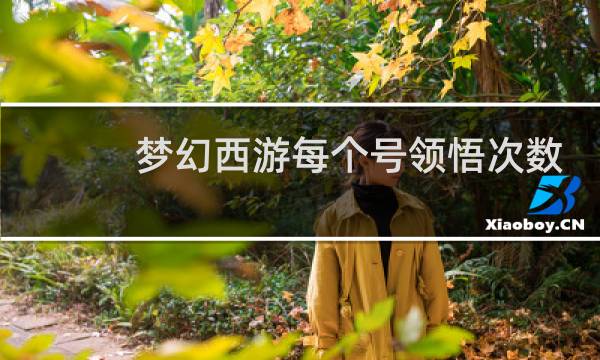 梦幻西游每个号领悟次数