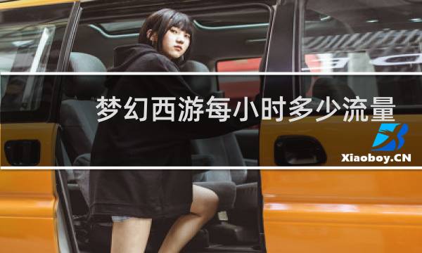 梦幻西游每小时多少流量