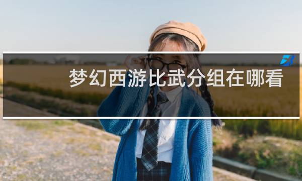 梦幻西游比武分组在哪看
