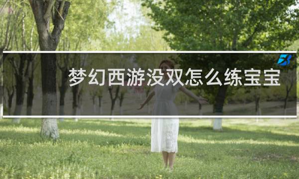 梦幻西游没双怎么练宝宝