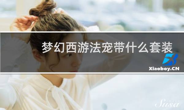 梦幻西游法宠带什么套装