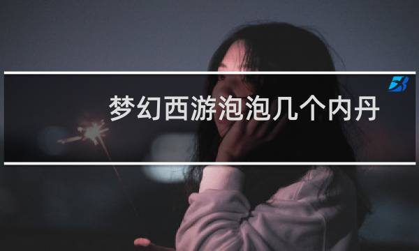 梦幻西游泡泡几个内丹