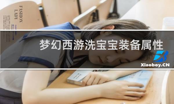 梦幻西游洗宝宝装备属性