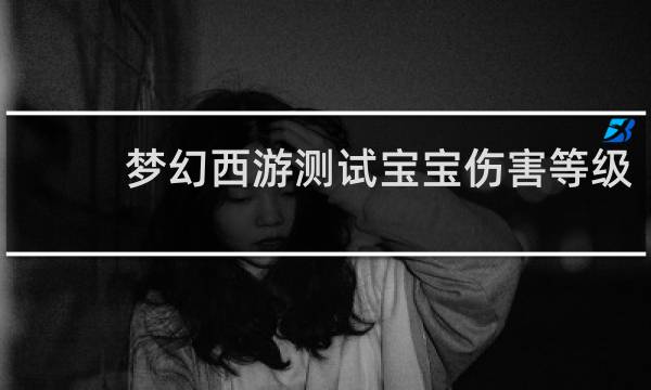 梦幻西游测试宝宝伤害等级