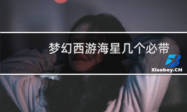 梦幻西游海星几个必带
