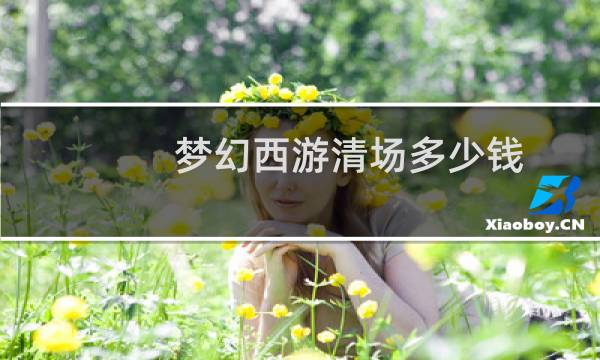 梦幻西游清场多少钱