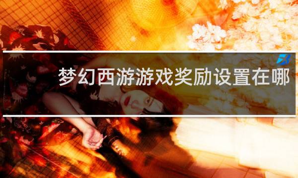 梦幻西游游戏奖励设置在哪