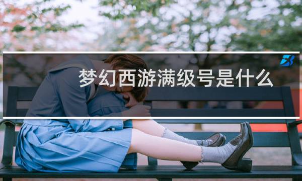梦幻西游满级号是什么