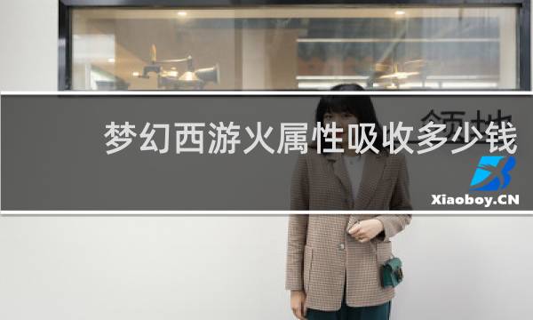 梦幻西游火属性吸收多少钱