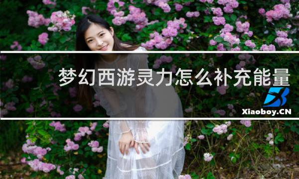 梦幻西游灵力怎么补充能量