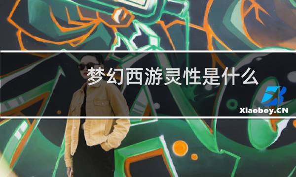 梦幻西游灵性是什么