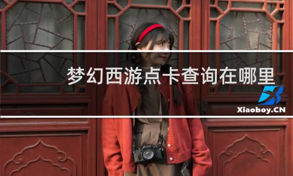 梦幻西游点卡查询在哪里