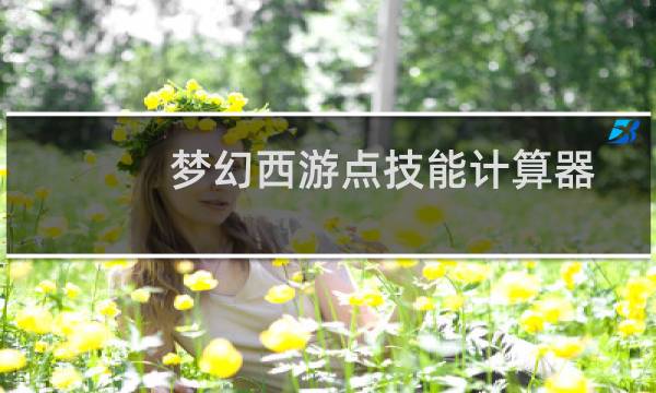 梦幻西游点技能计算器