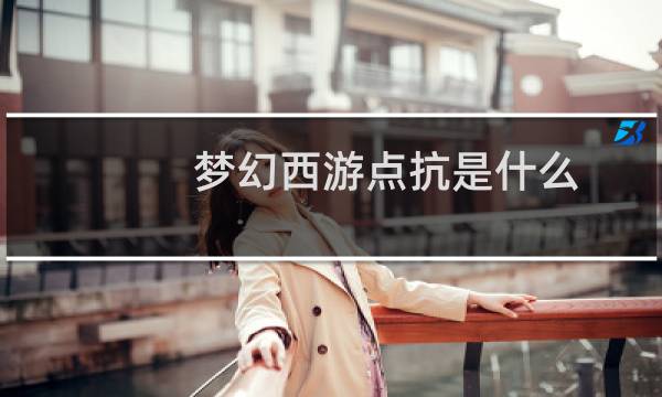 梦幻西游点抗是什么