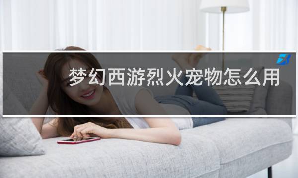 梦幻西游烈火宠物怎么用