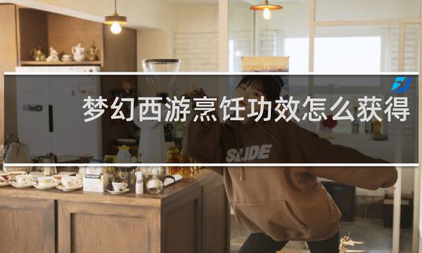 梦幻西游烹饪功效怎么获得