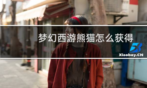 梦幻西游熊猫怎么获得