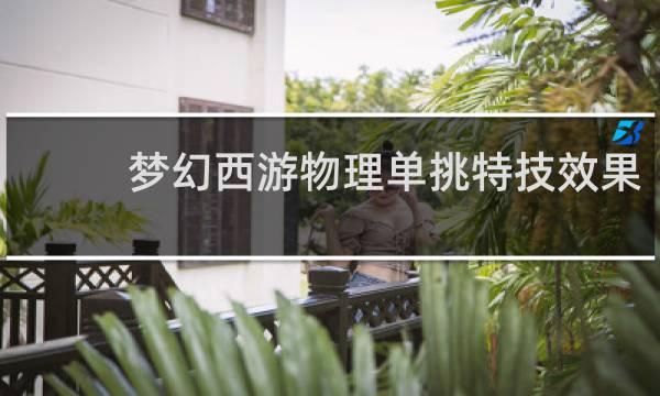 梦幻西游物理单挑特技效果