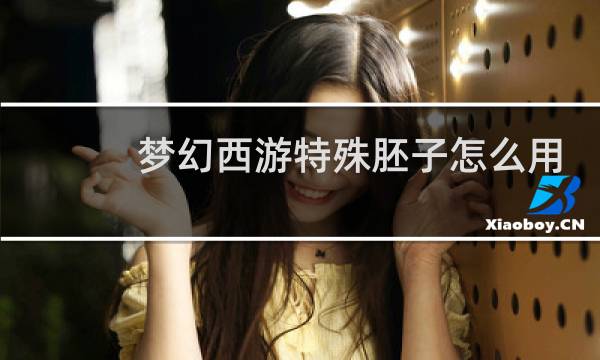 夢幻西游特殊胚子怎么用