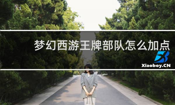 梦幻西游王牌部队怎么加点