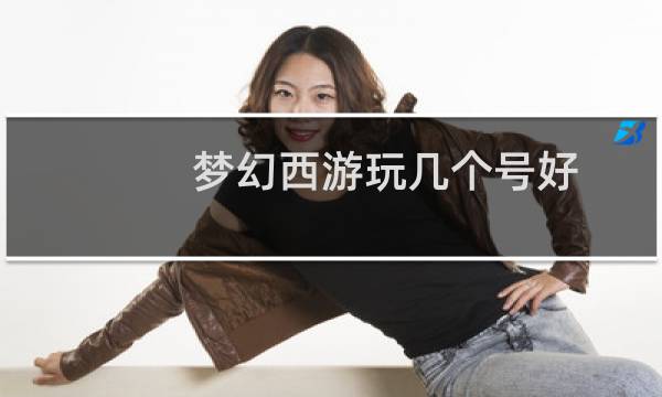 梦幻西游玩几个号好