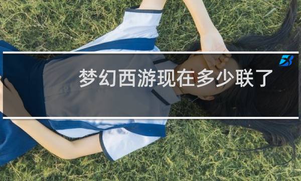 梦幻西游现在多少联了