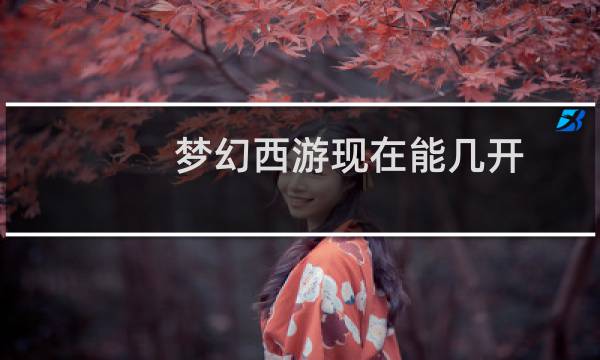 梦幻西游现在能几开