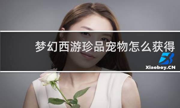 梦幻西游珍品宠物怎么获得