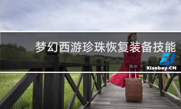 梦幻西游珍珠恢复装备技能