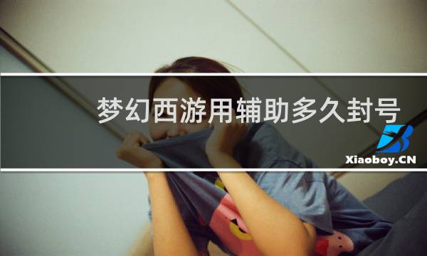 梦幻西游用辅助多久封号