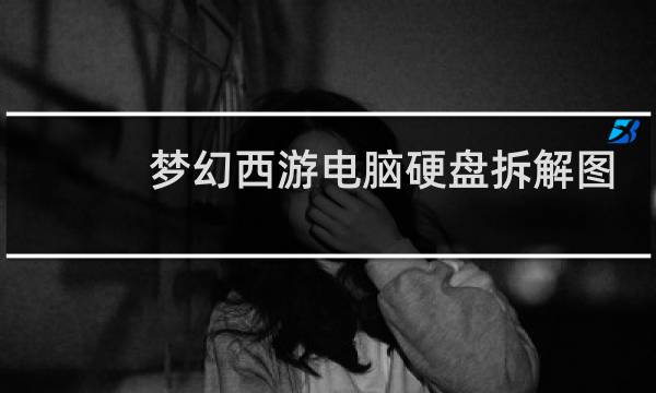 梦幻西游电脑硬盘拆解图