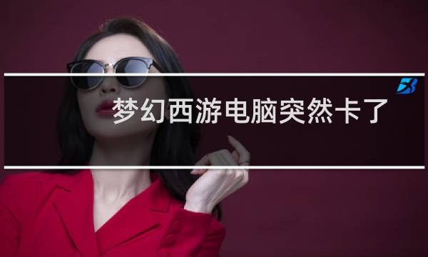 梦幻西游电脑突然卡了