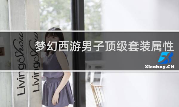 梦幻西游男子顶级套装属性