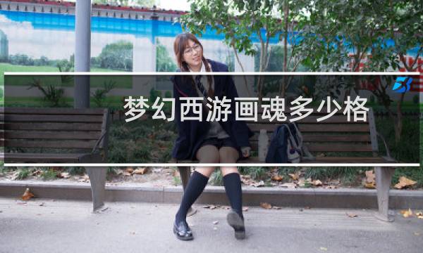 梦幻西游画魂多少格