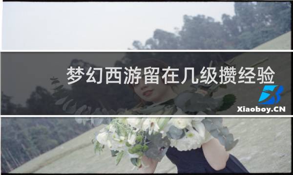 梦幻西游留在几级攒经验